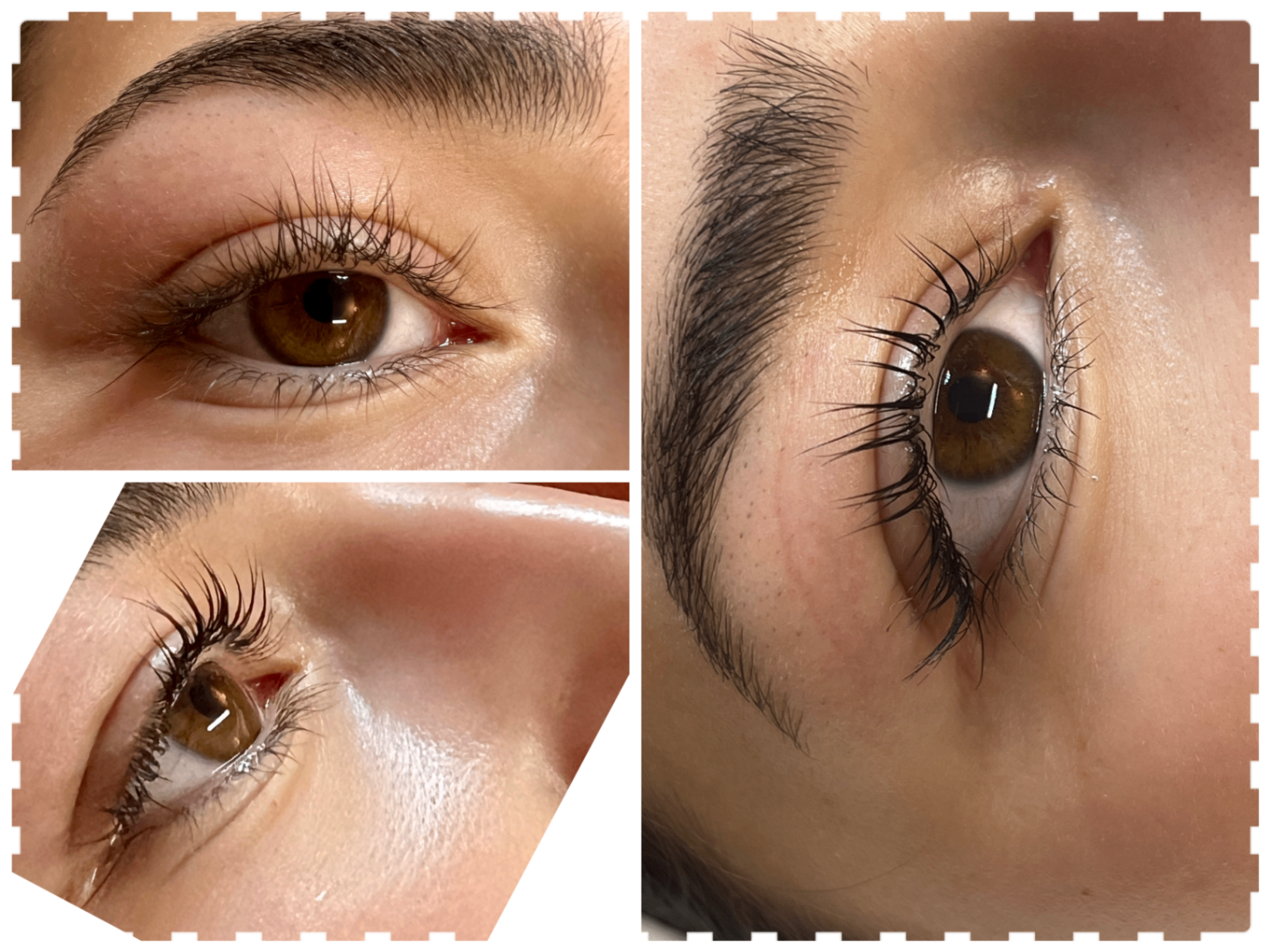Lash lift and brow styling result.